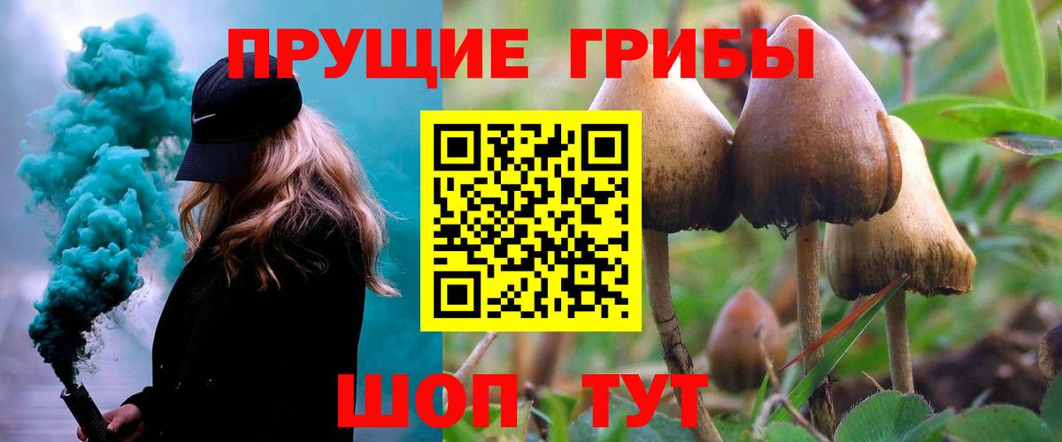 Ханты-Мансийск  Псилоцибиновые грибы Magic Shrooms  Вход с VPN 